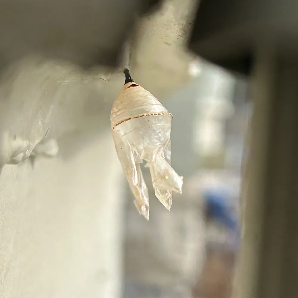 wriggliestworm.bsky.social's profile picture