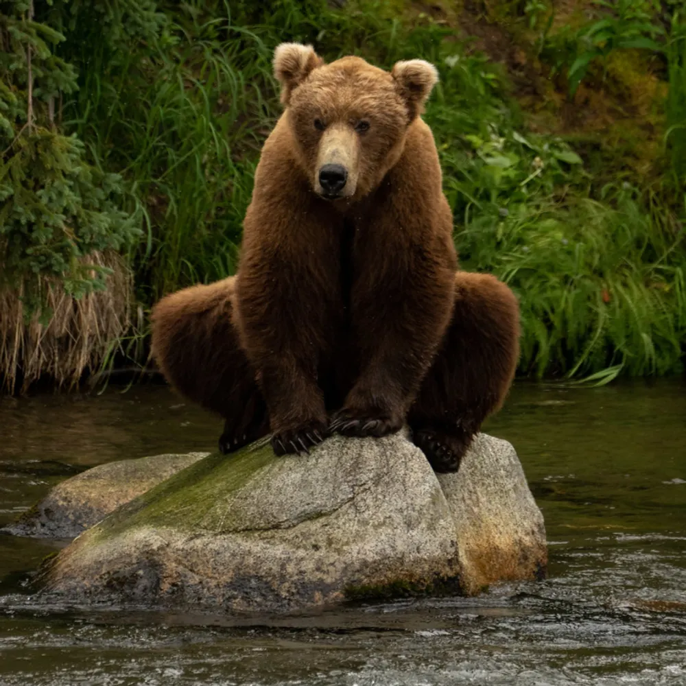 russ41.bsky.social's profile picture