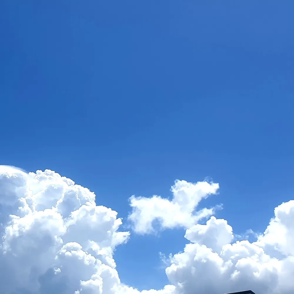 vitaminabcdefg.bsky.social's profile picture