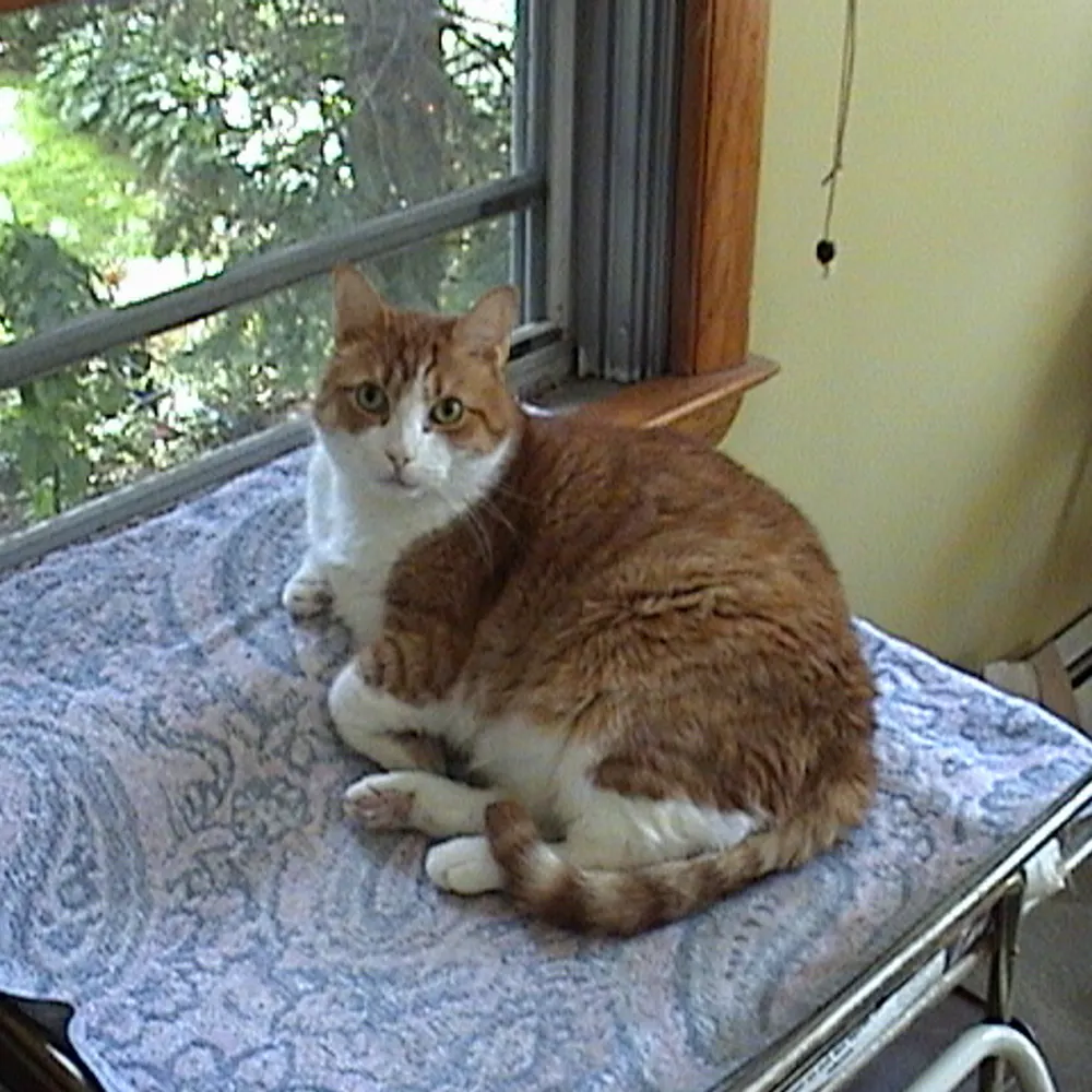 fredgerv.bsky.social's profile picture