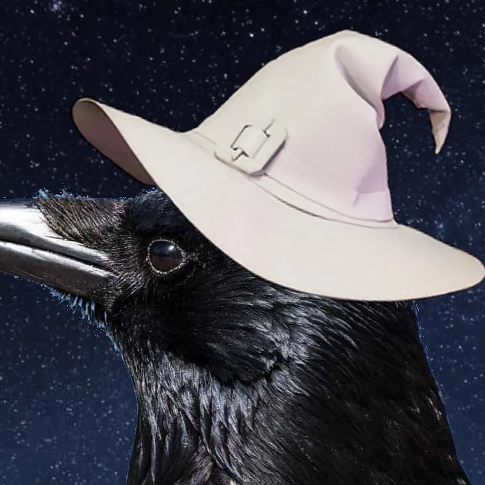 elfeincaine.bsky.social's profile picture