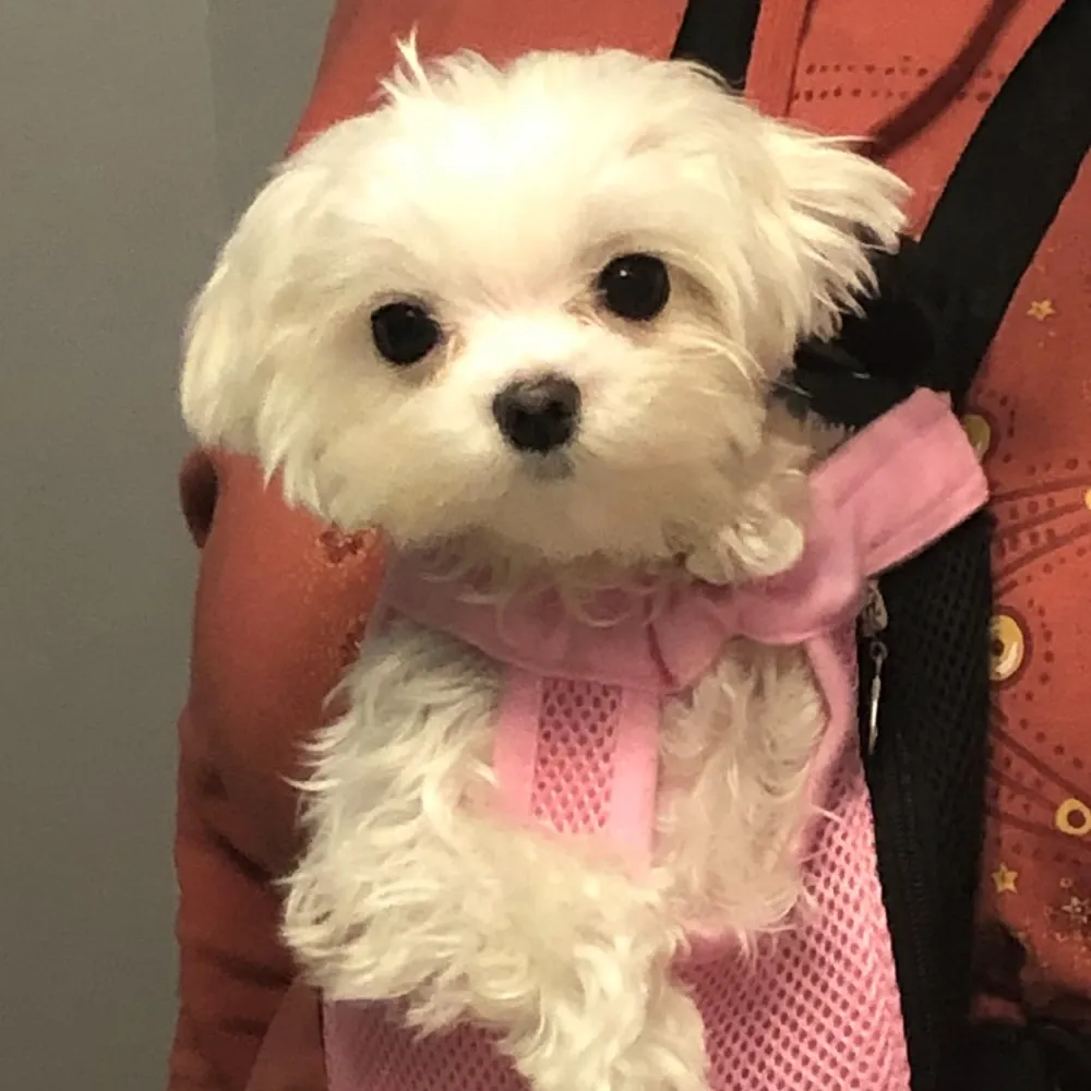 mias-mom.bsky.social's profile picture