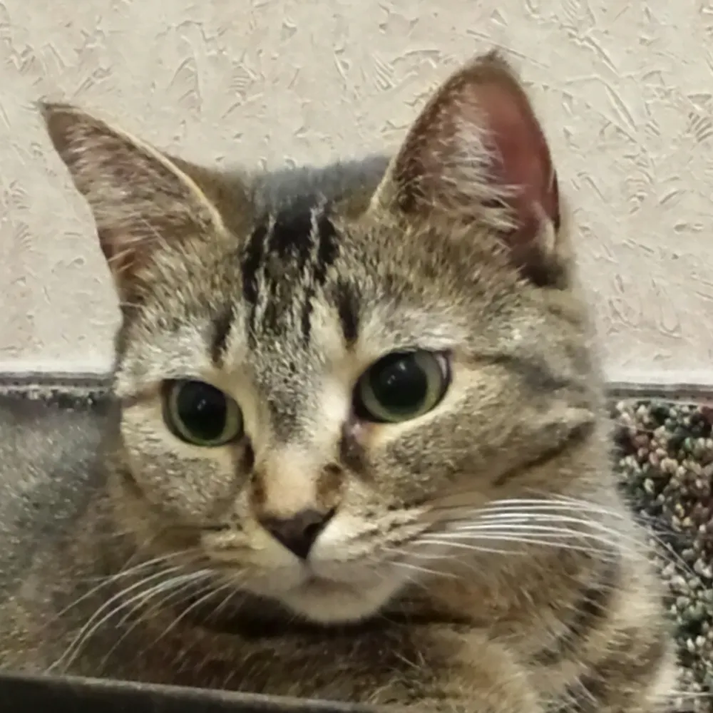 ingwalker.bsky.social's profile picture