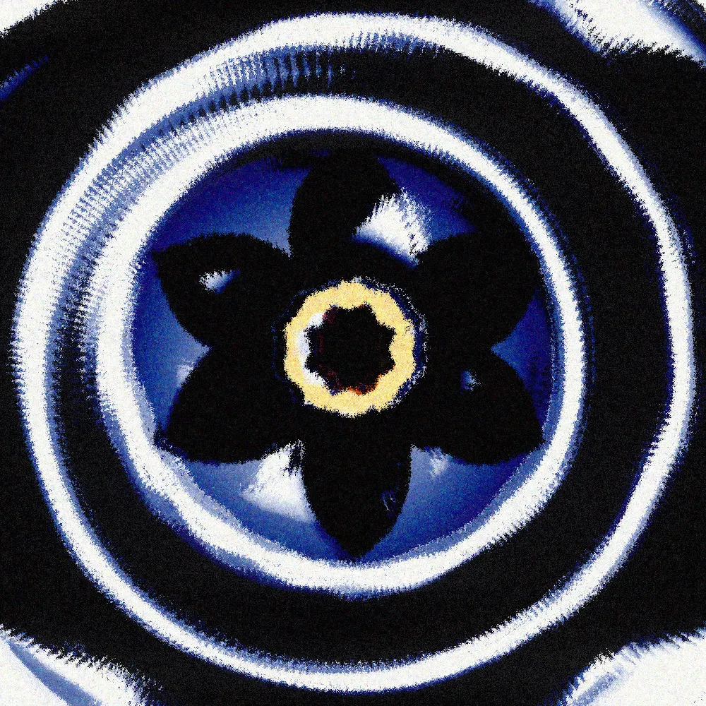 nyangqin.bsky.social's profile picture