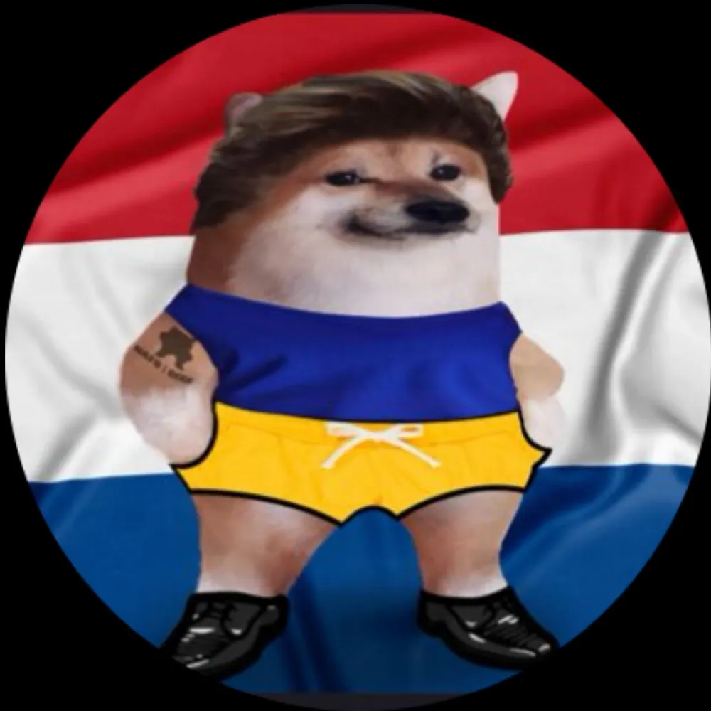 dixit-guillermo.bsky.social's profile picture