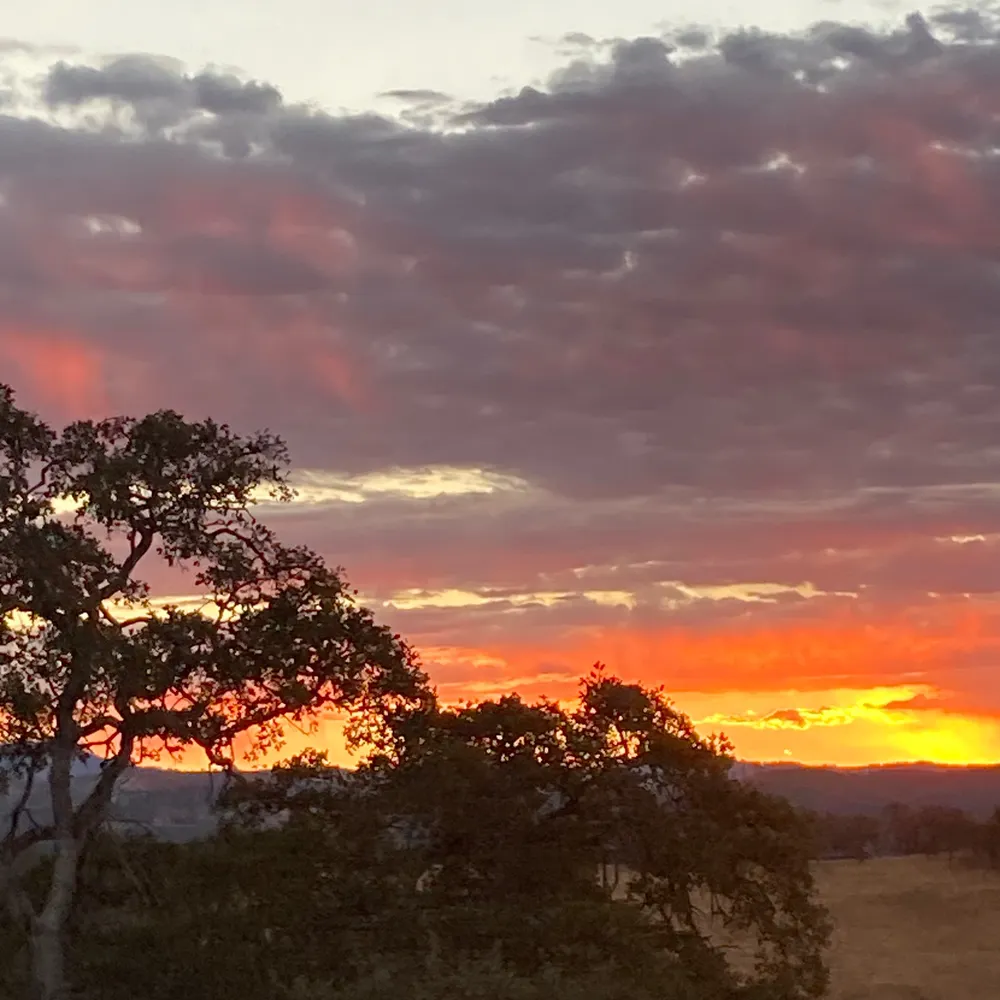 tracymom.bsky.social's profile picture