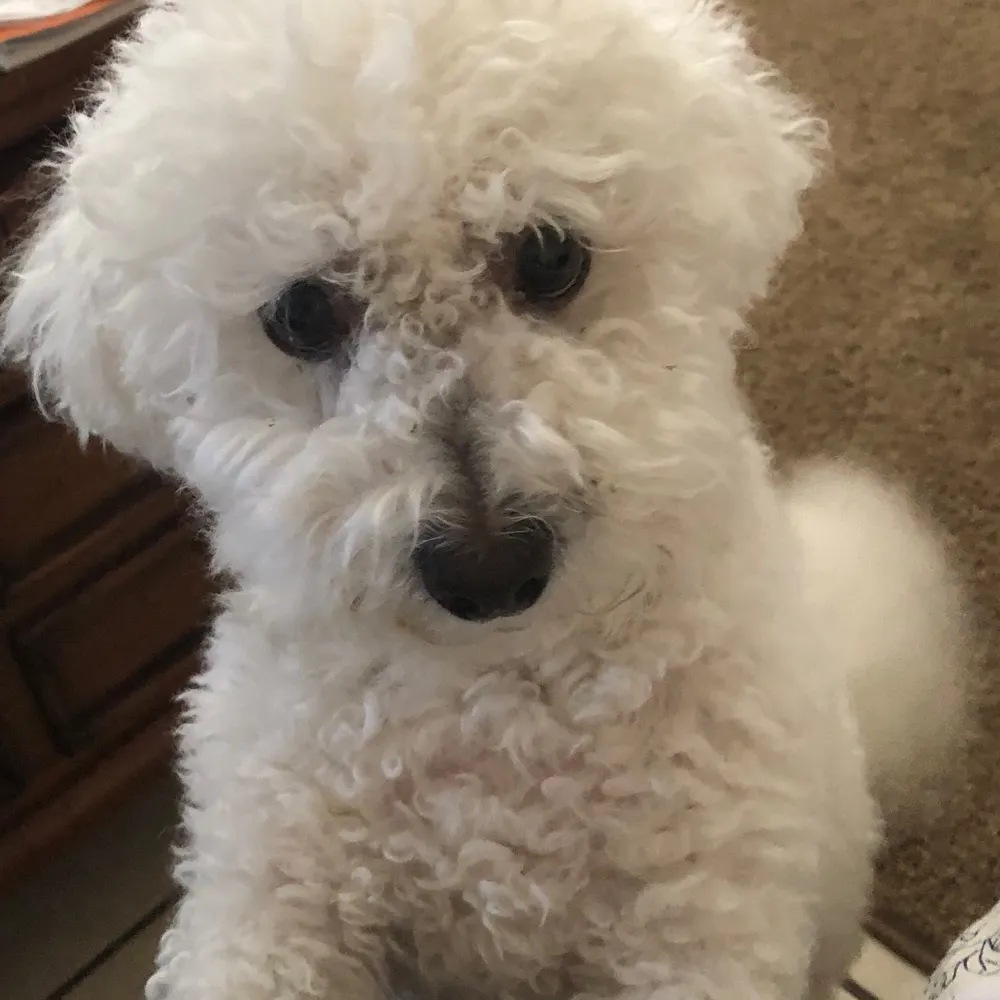 bettymagin49.bsky.social's profile picture