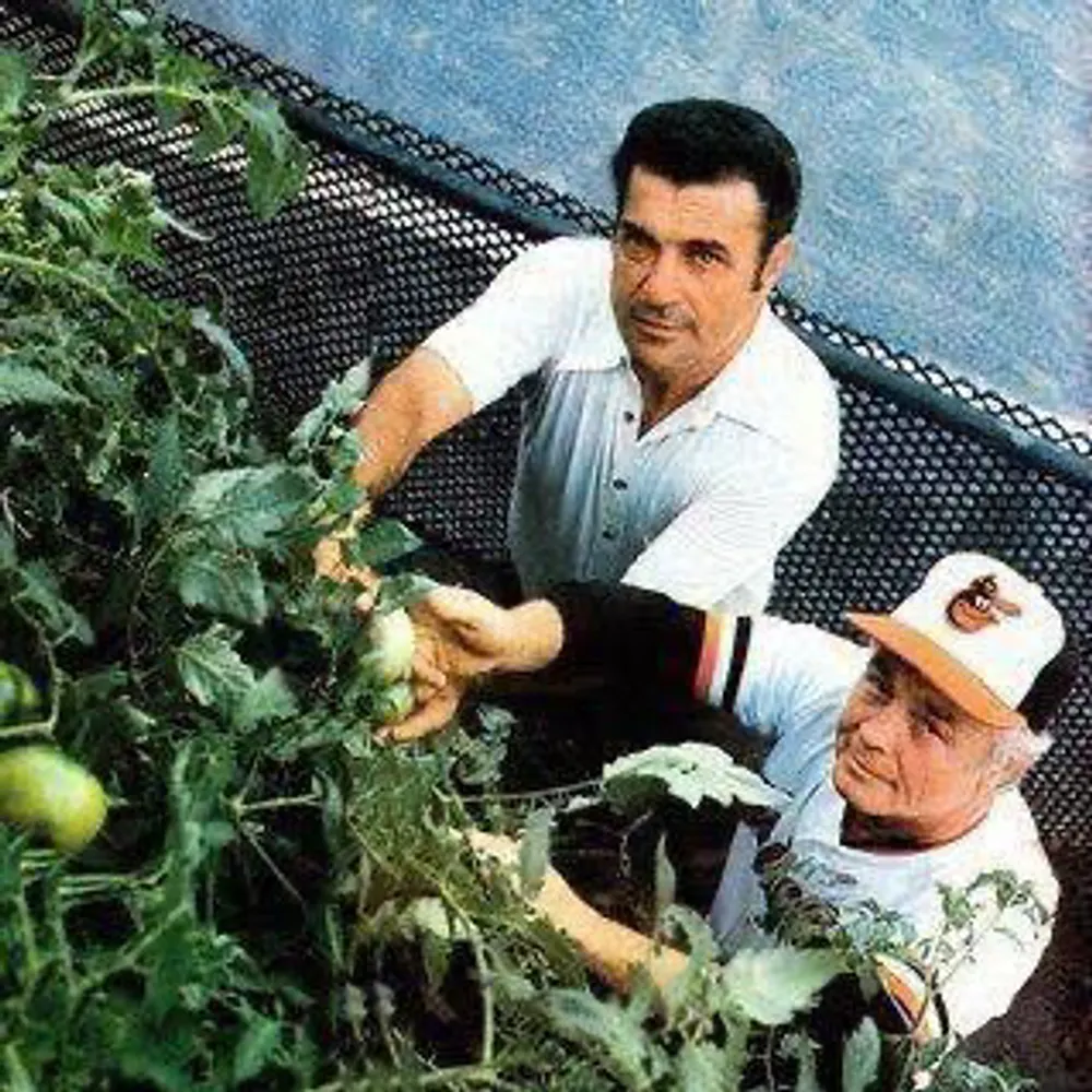 ebarnescalgary.bsky.social's profile picture