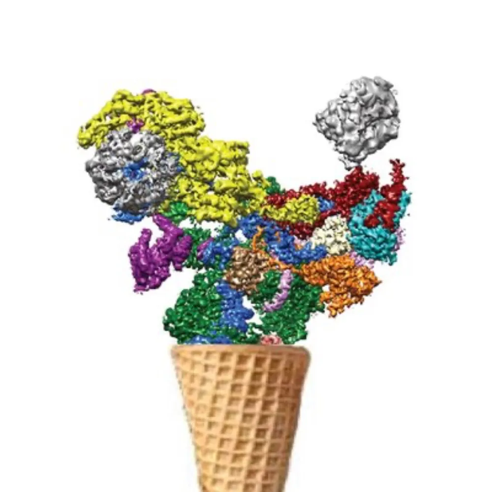 mannyares.bsky.social's profile picture