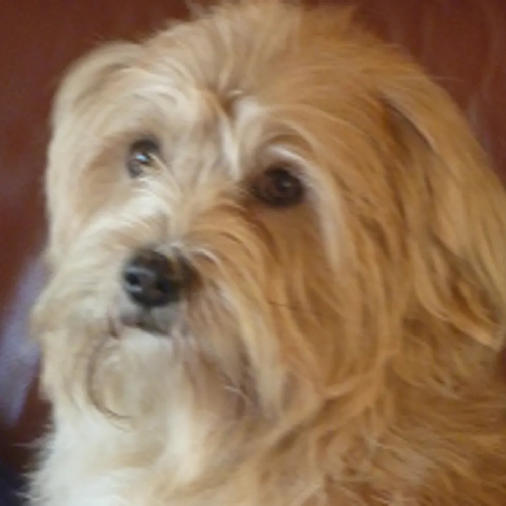 judgementryu.bsky.social's profile picture