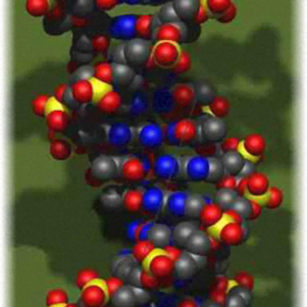 bjjanssen.bsky.social's profile picture