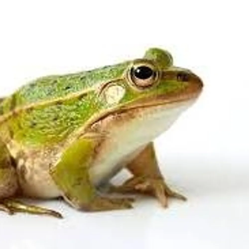 gacyclist.bsky.social's profile picture