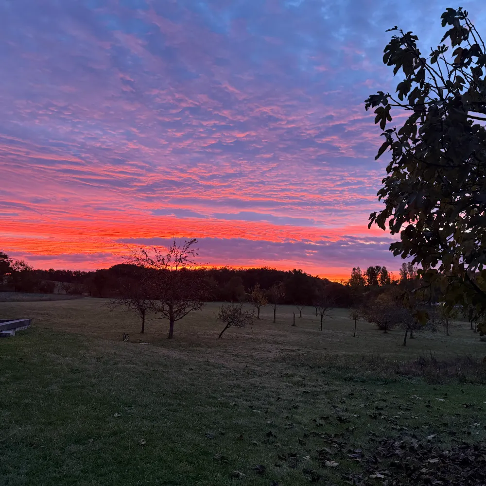 bmmw.bsky.social's profile picture