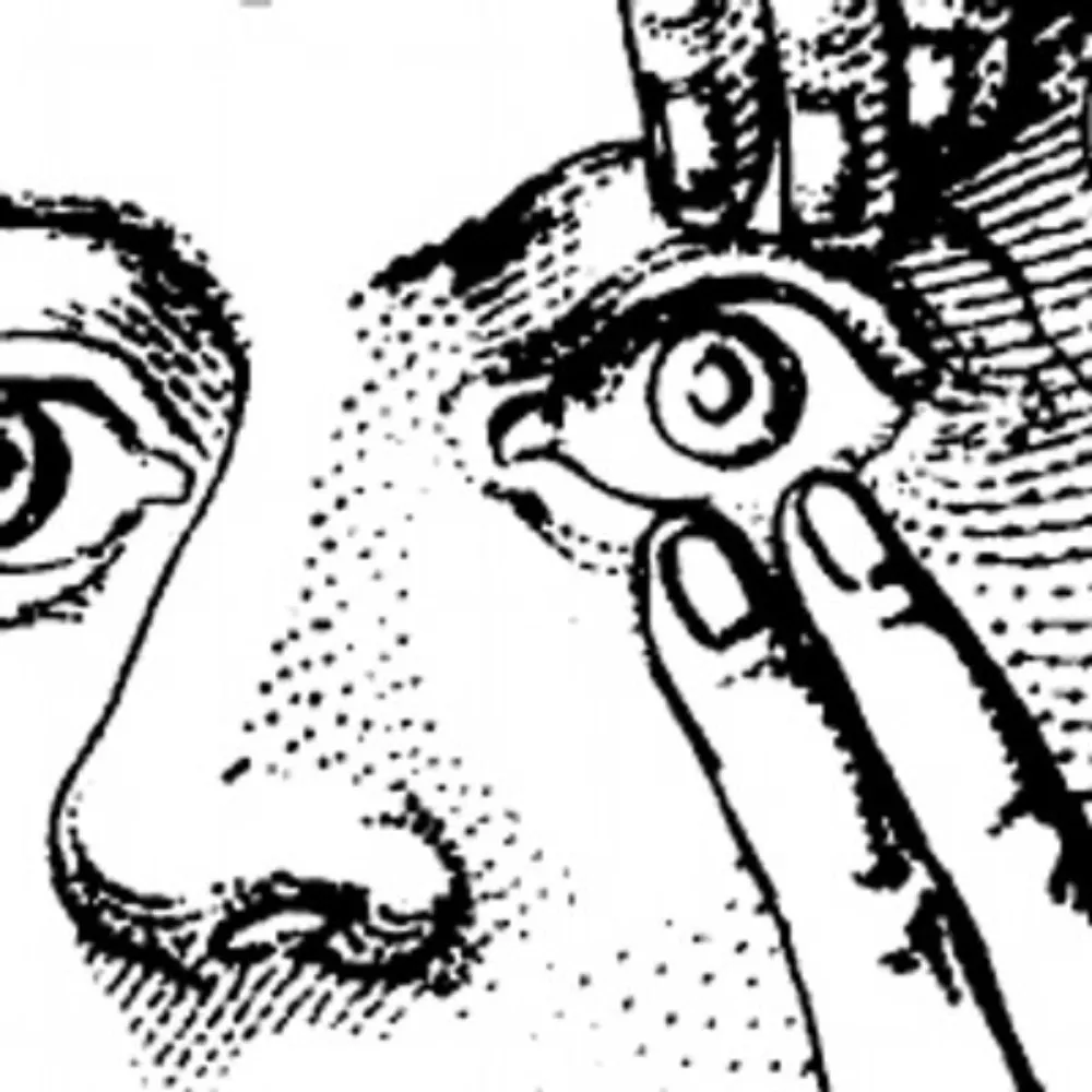 danhopewell.bsky.social's profile picture