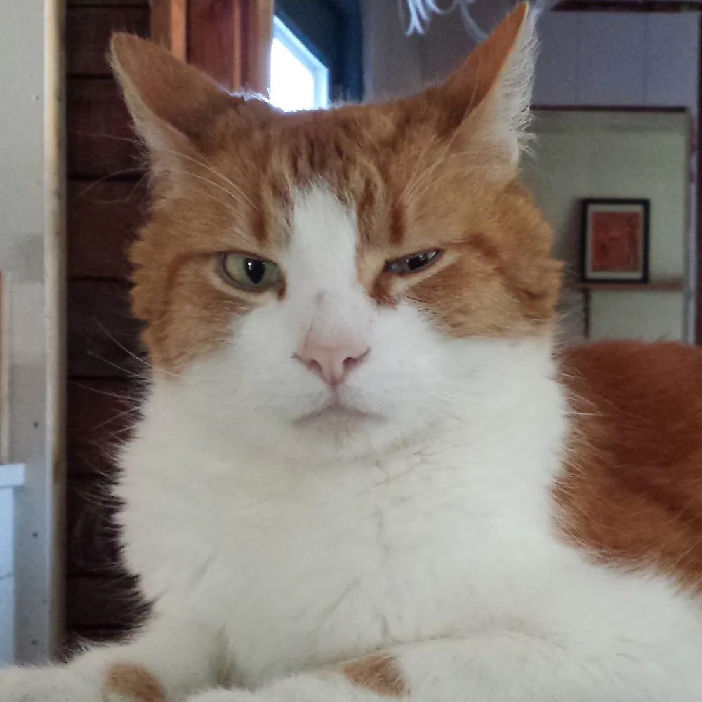 jeanlucpetard.bsky.social's profile picture