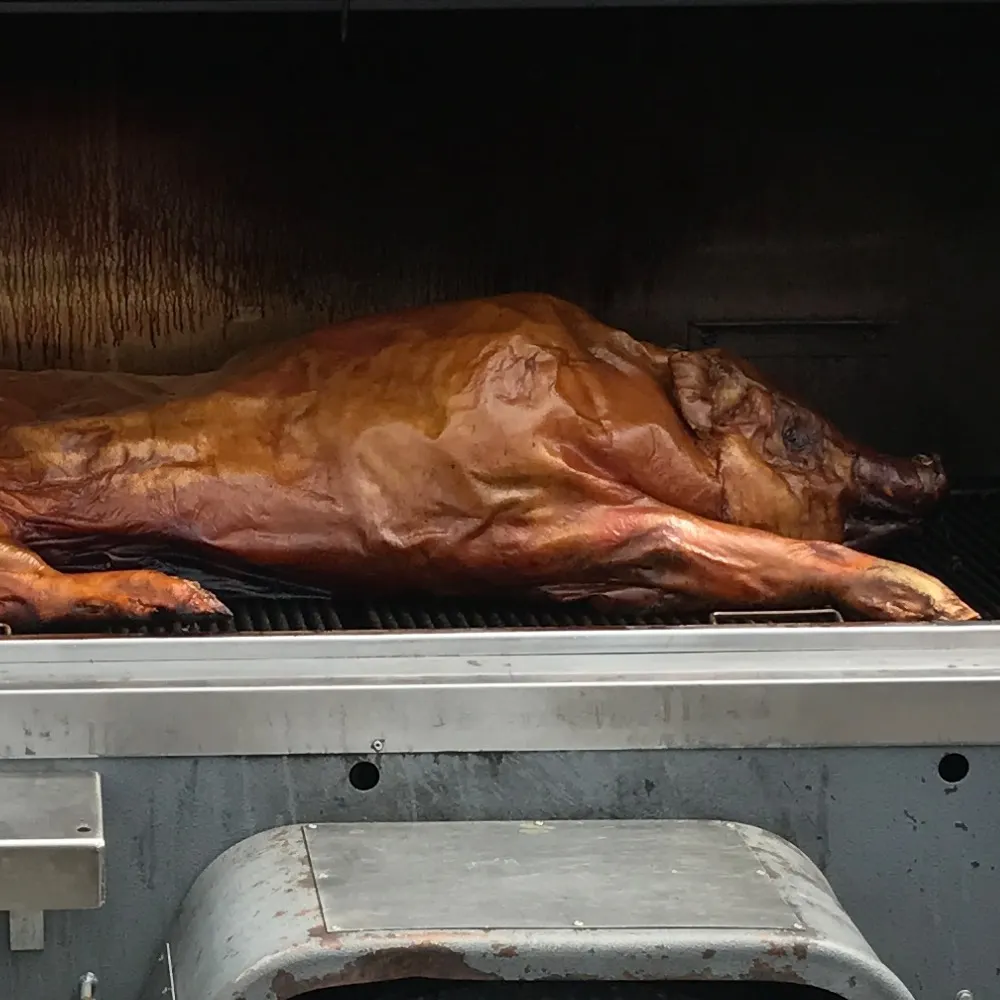 ormatar.bsky.social's profile picture