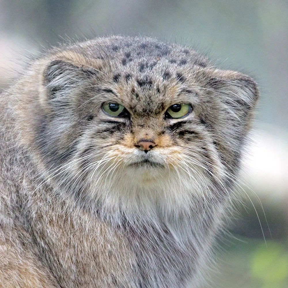 rorydropkick.bsky.social's profile picture