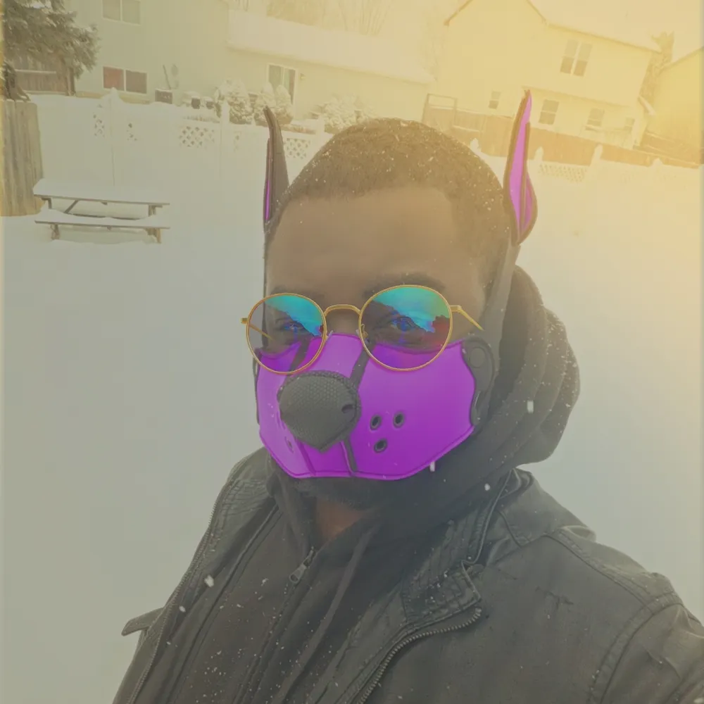 pup-rustie.bsky.social's profile picture