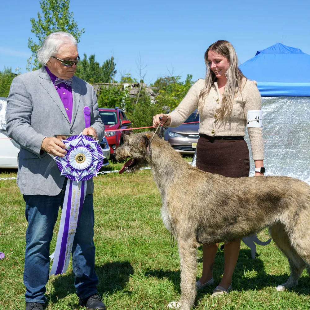 stallfortime.bsky.social's profile picture