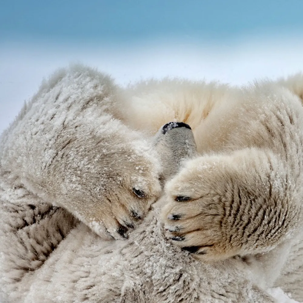 tadish.bsky.social's profile picture