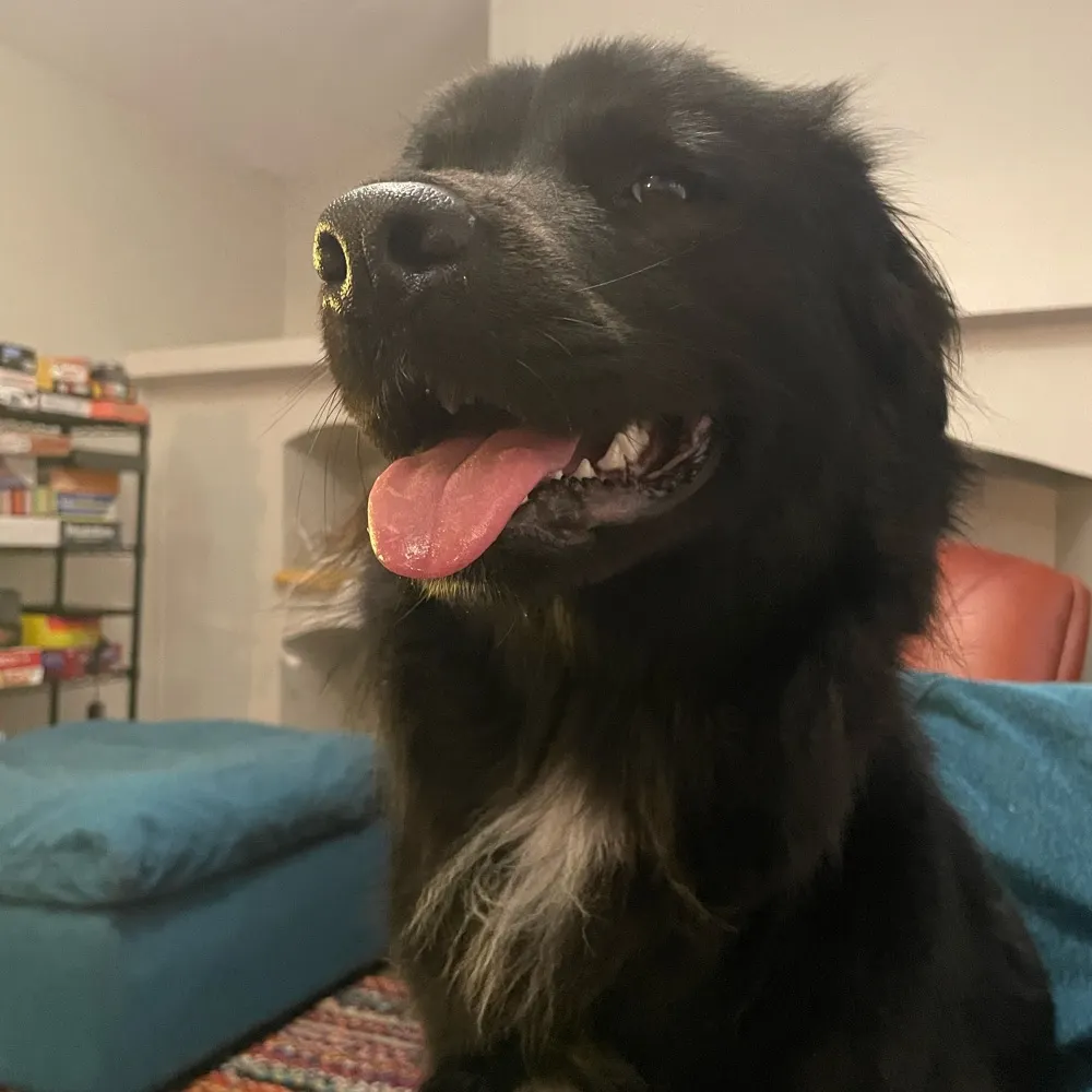 nictiteight.bsky.social's profile picture