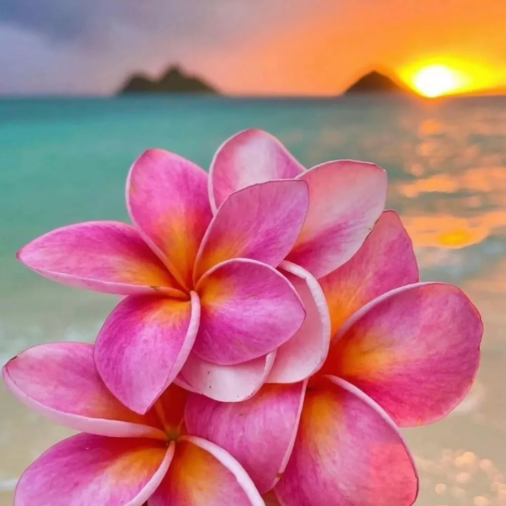 shoezq.bsky.social's profile picture