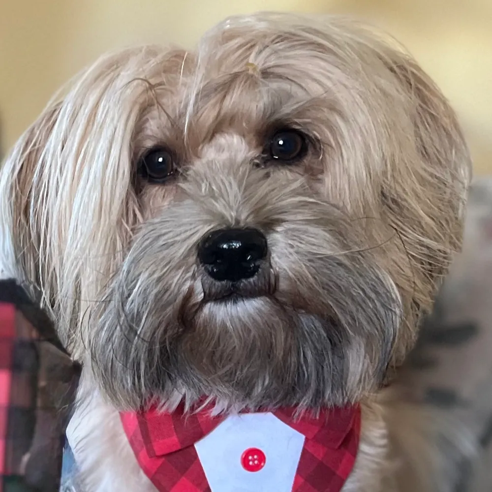 aubrey333.bsky.social's profile picture