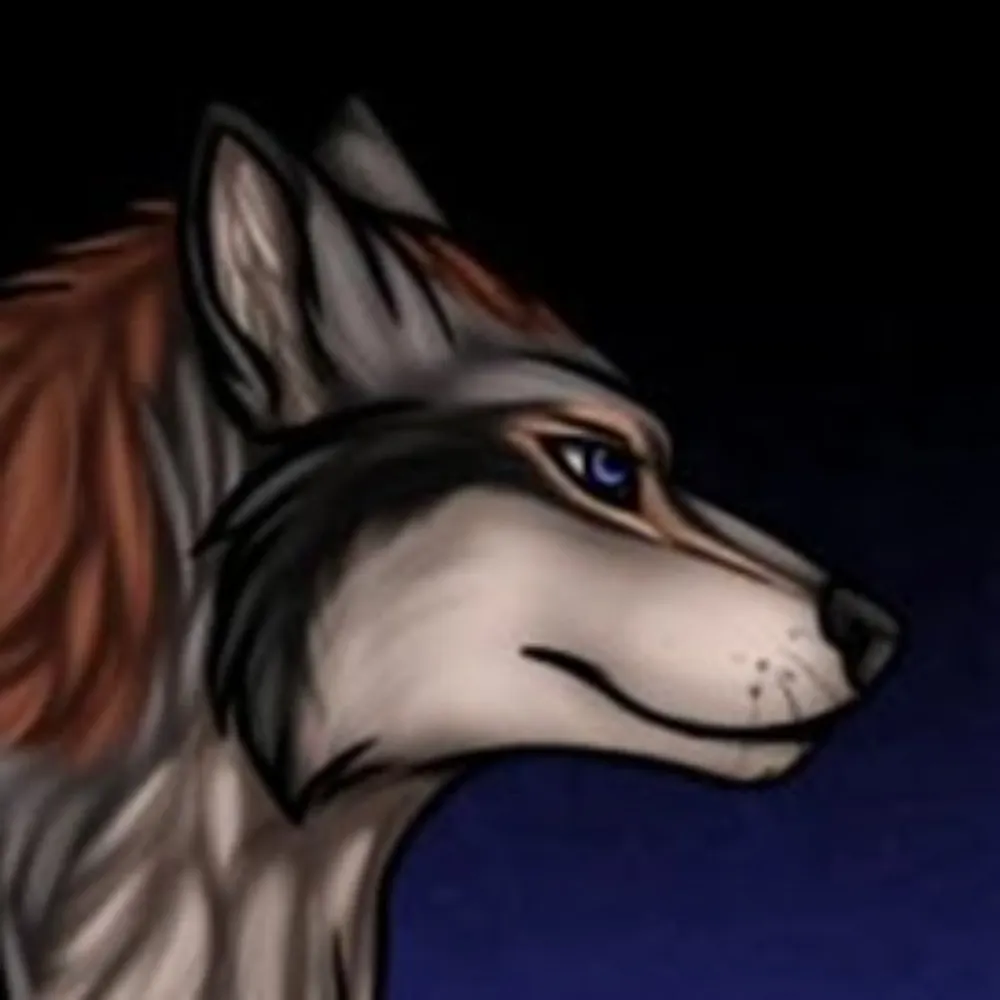 shadowdwolf.bsky.social's profile picture