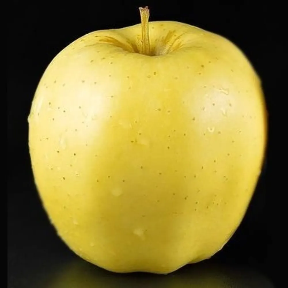 epee.cc's profile picture