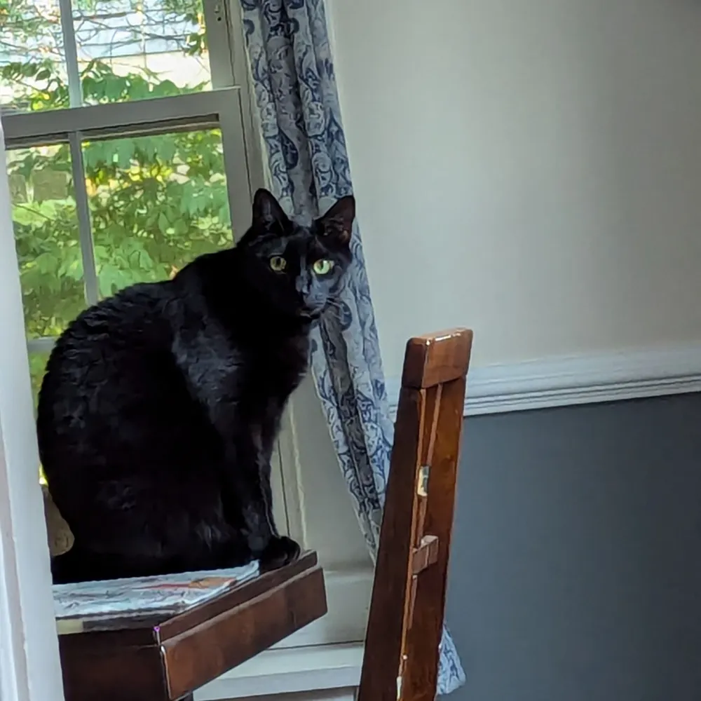 paula667.bsky.social's profile picture