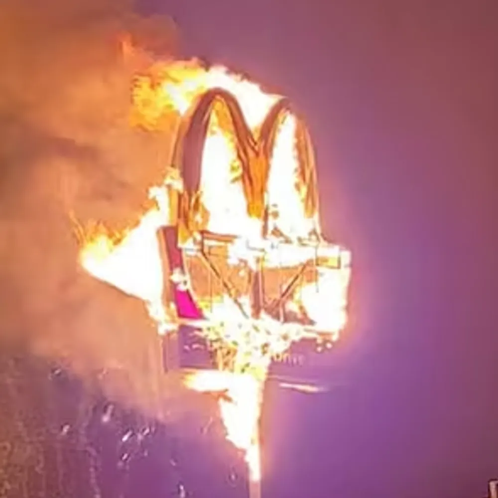 sicktrees.bsky.social's profile picture