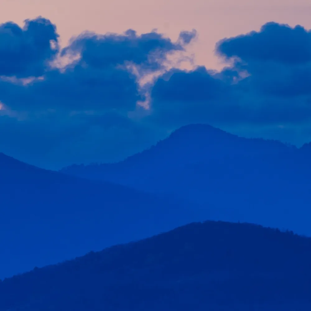 princejvstin.com's profile picture