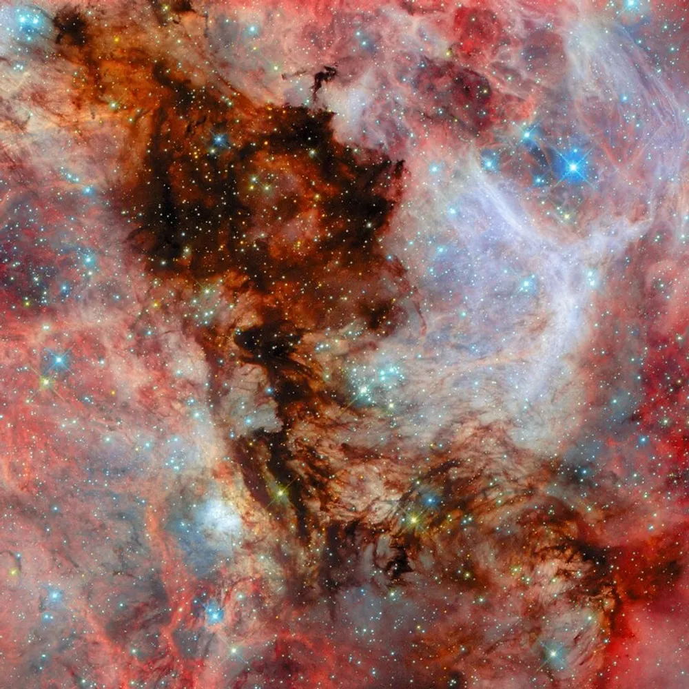 instablu.bsky.social's profile picture