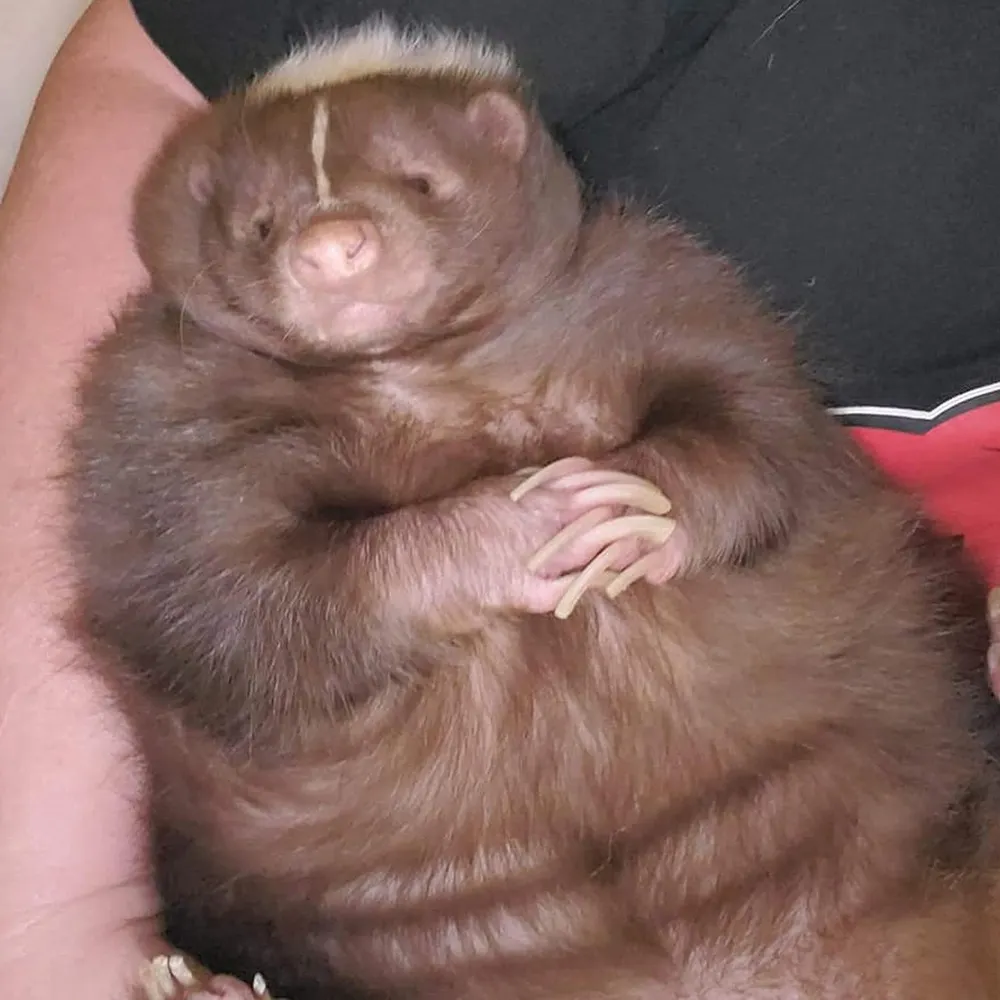 kelzo.bsky.social's profile picture