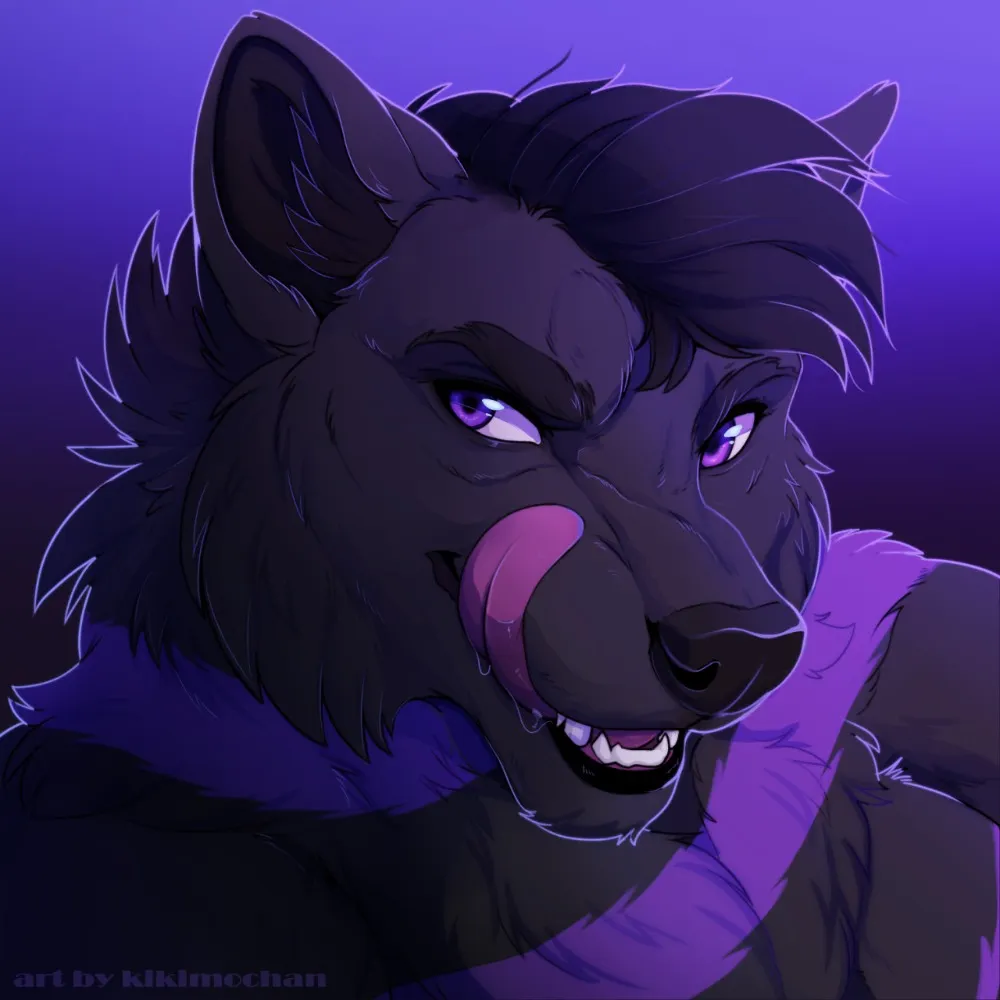 maelstromwolf.bsky.social's profile picture