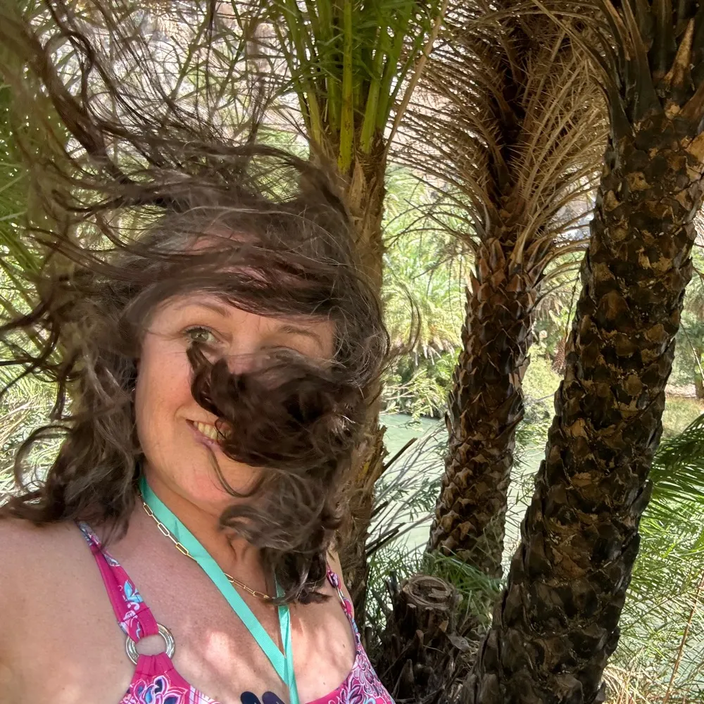 scottythistle.bsky.social's profile picture