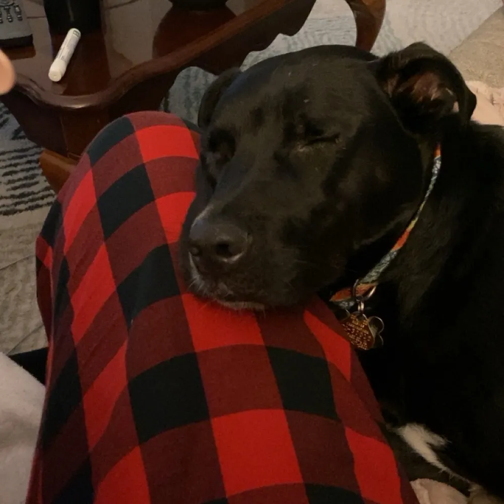 natkwasi.bsky.social's profile picture