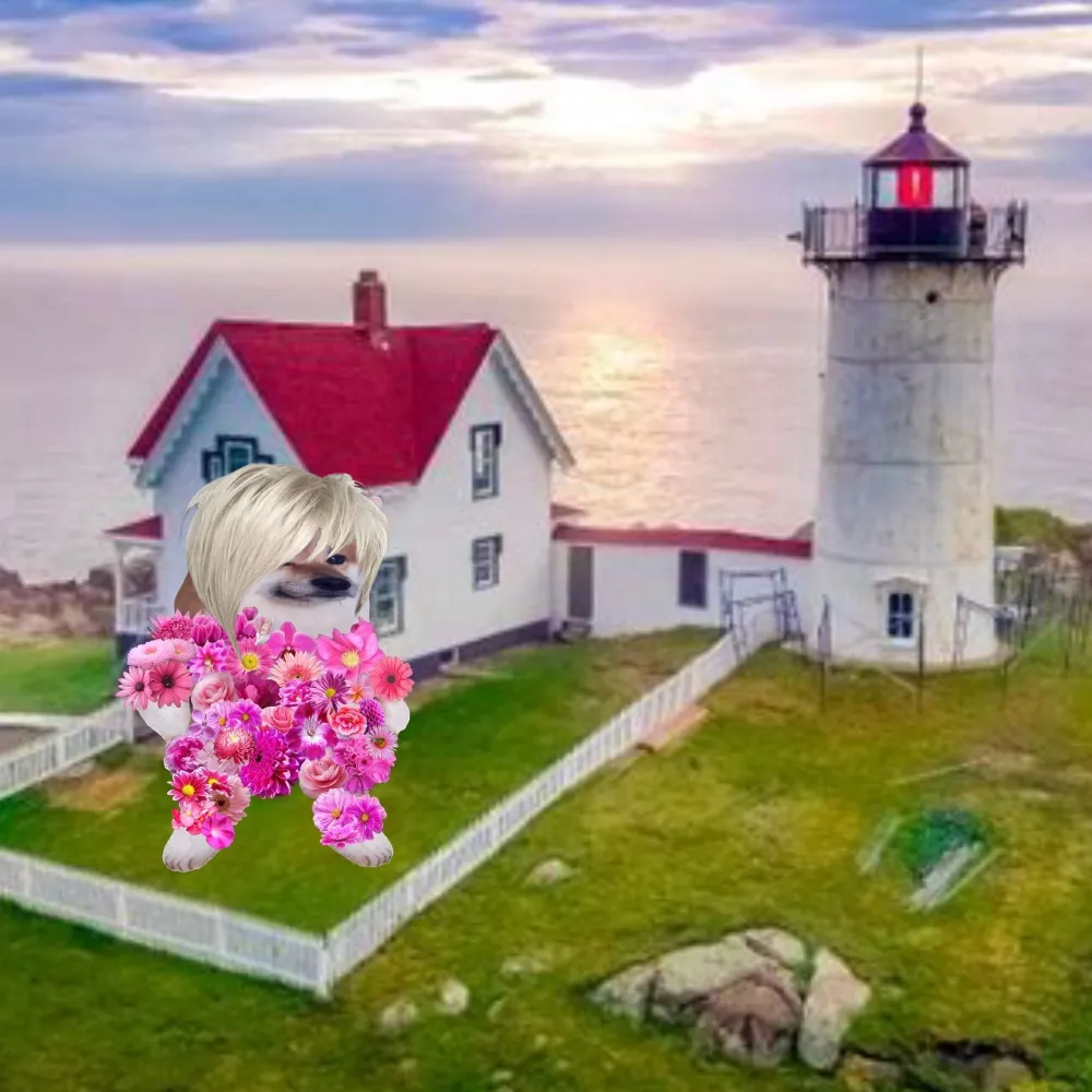 sugarcubedog.bsky.social's profile picture