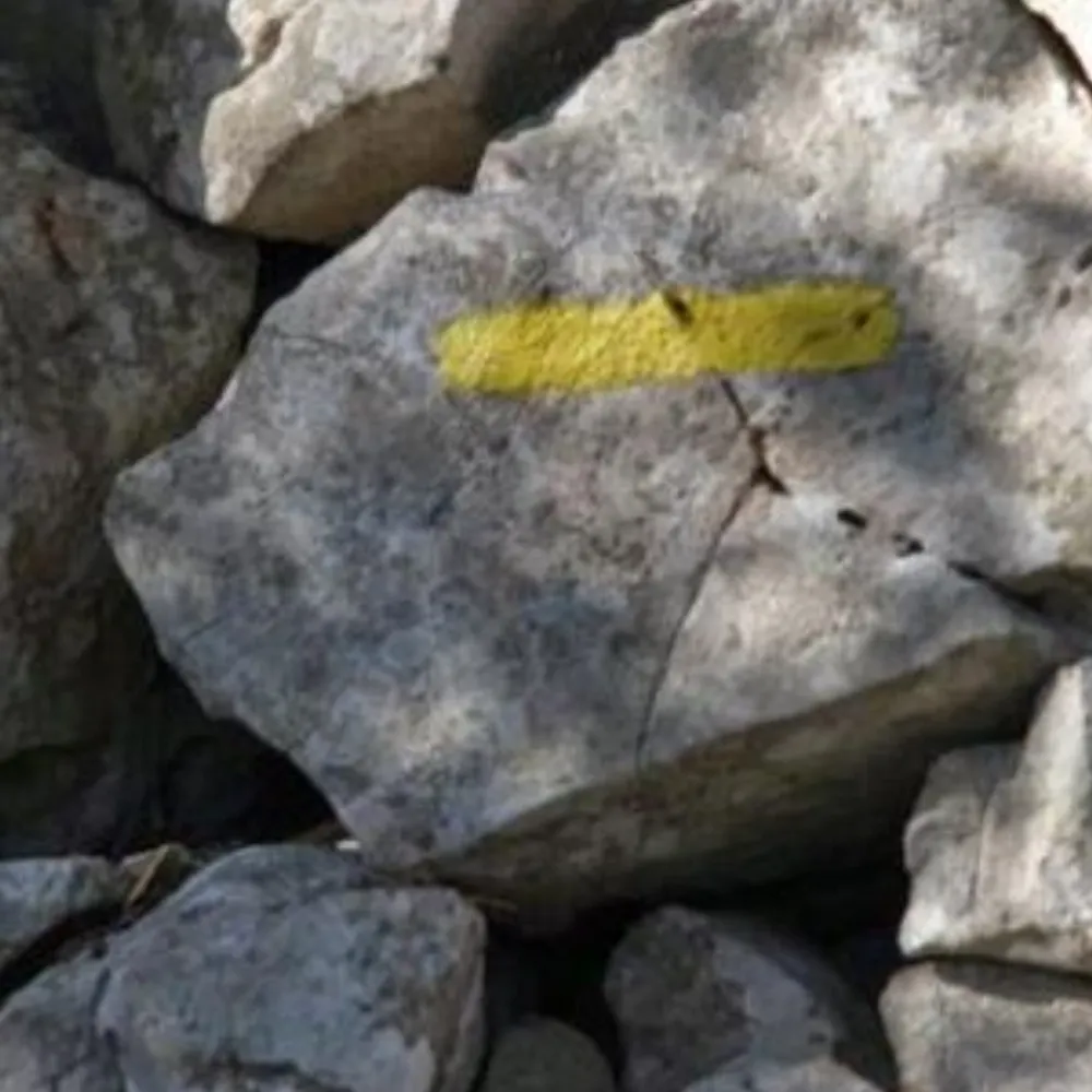 ceventrip.bsky.social's profile picture