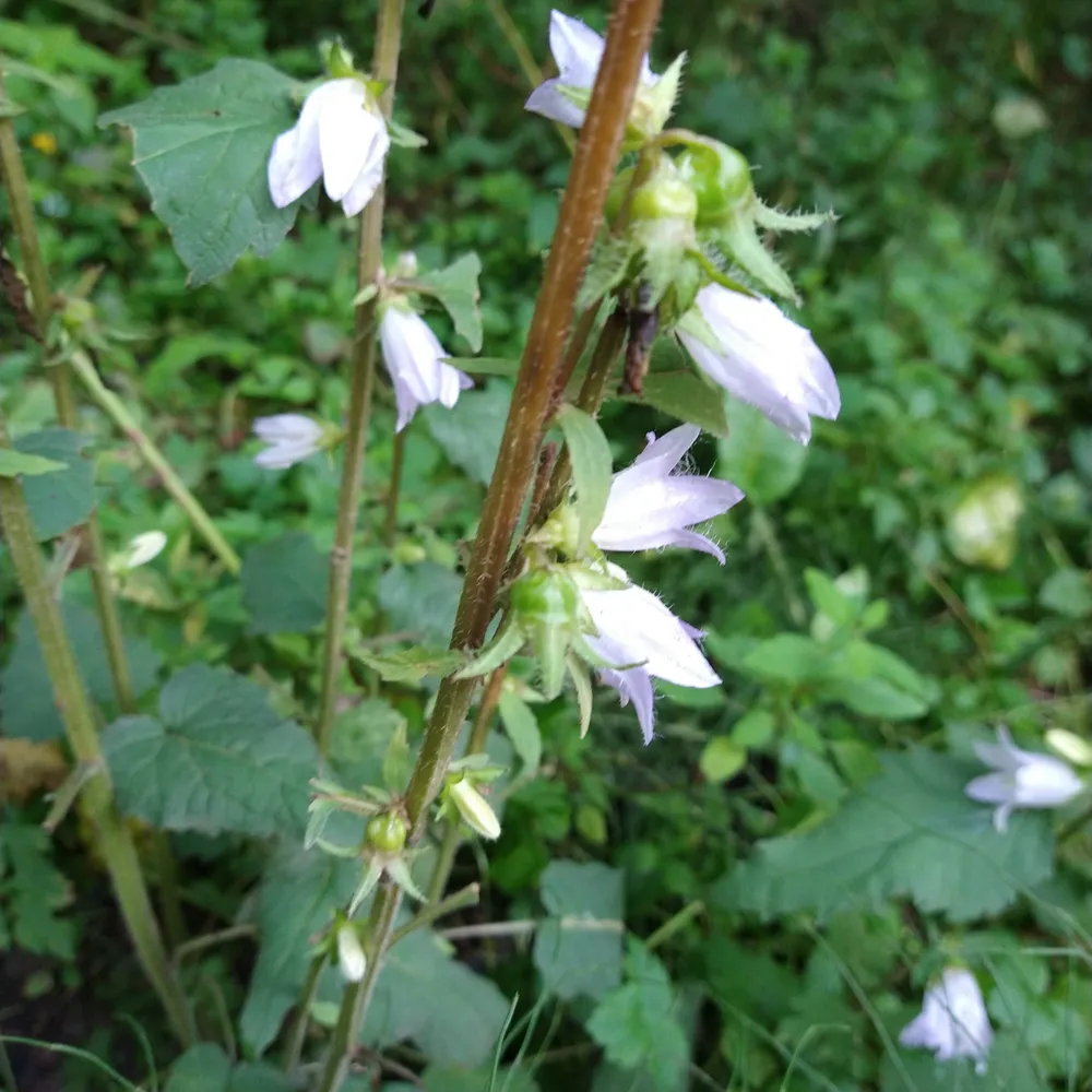 ustinoff.eurosky.social's profile picture