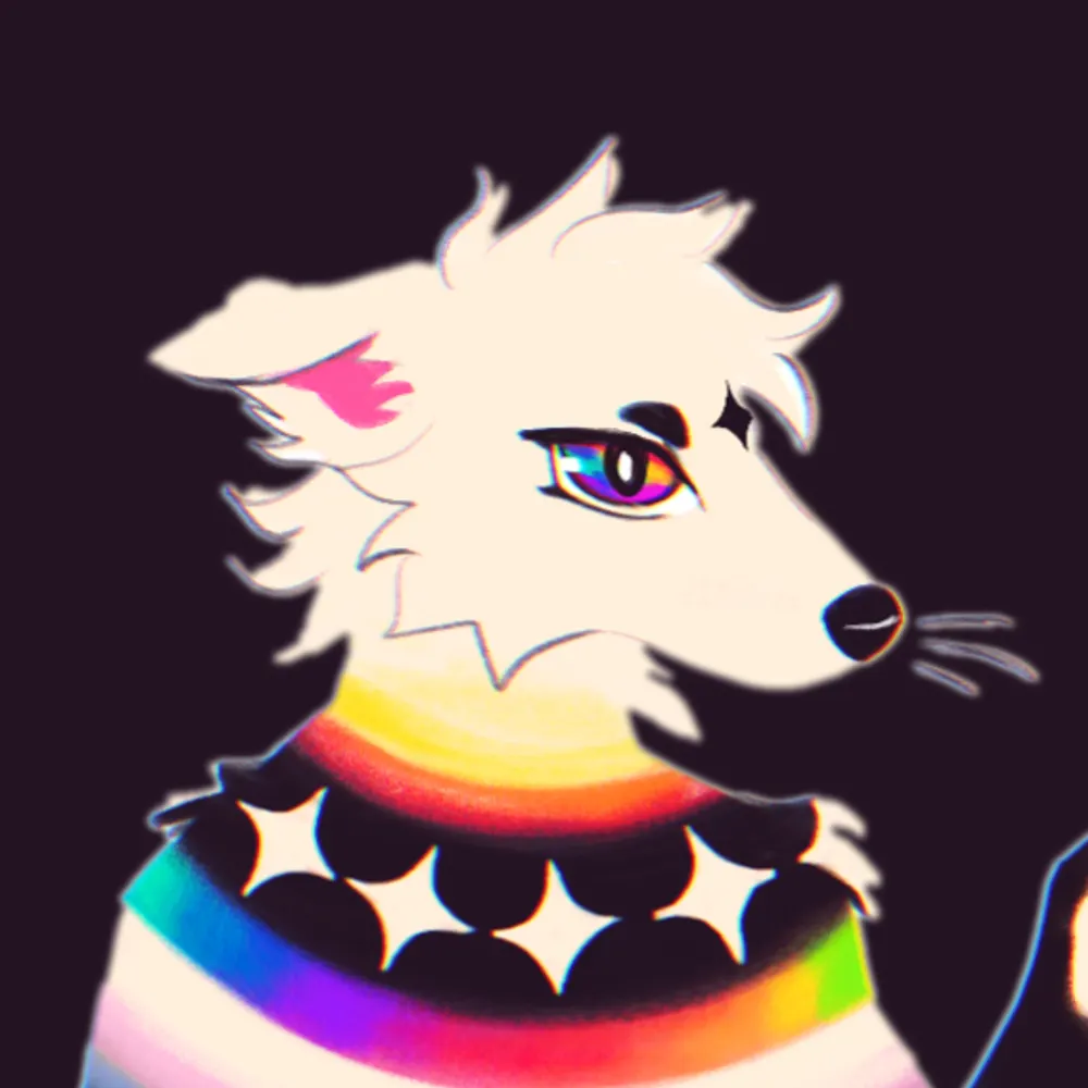 buppy.kindboys.online's profile picture