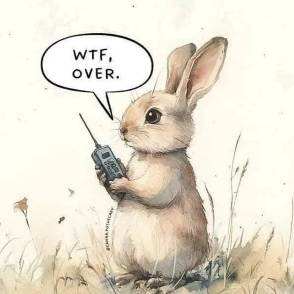 dblcliq.bsky.social's profile picture