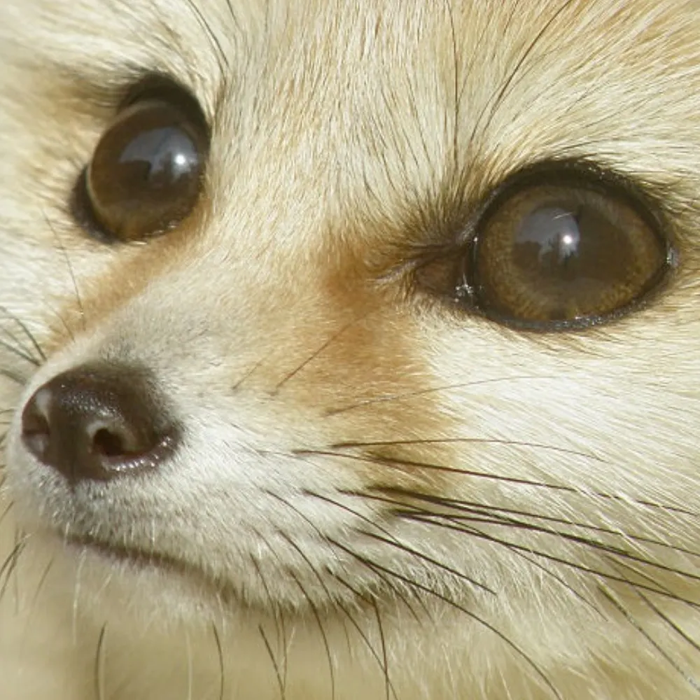 harimaujane.bsky.social's profile picture