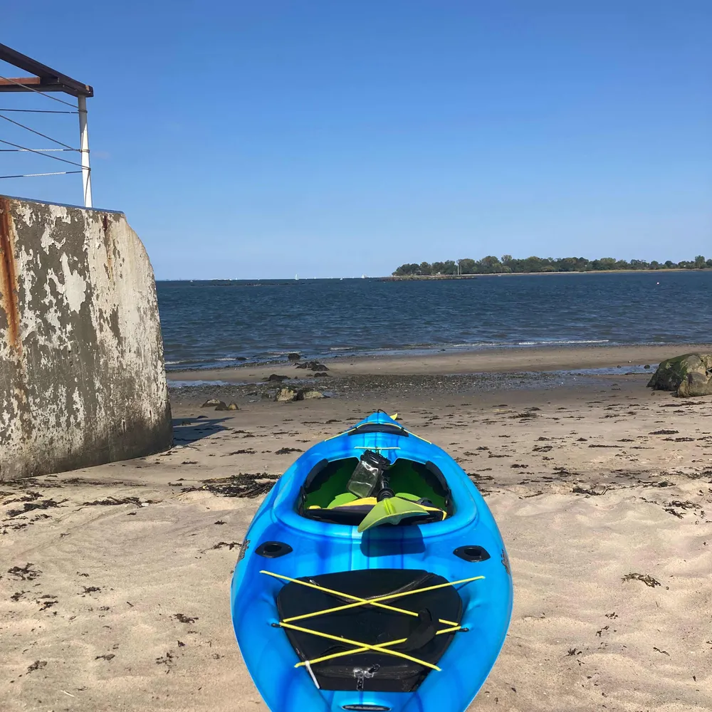 handle.invalid's profile picture