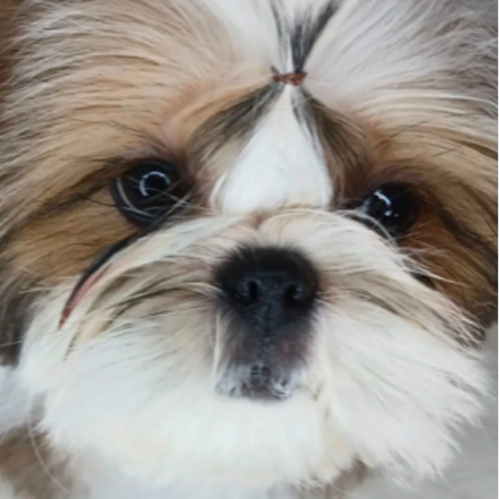 callie10.bsky.social's profile picture