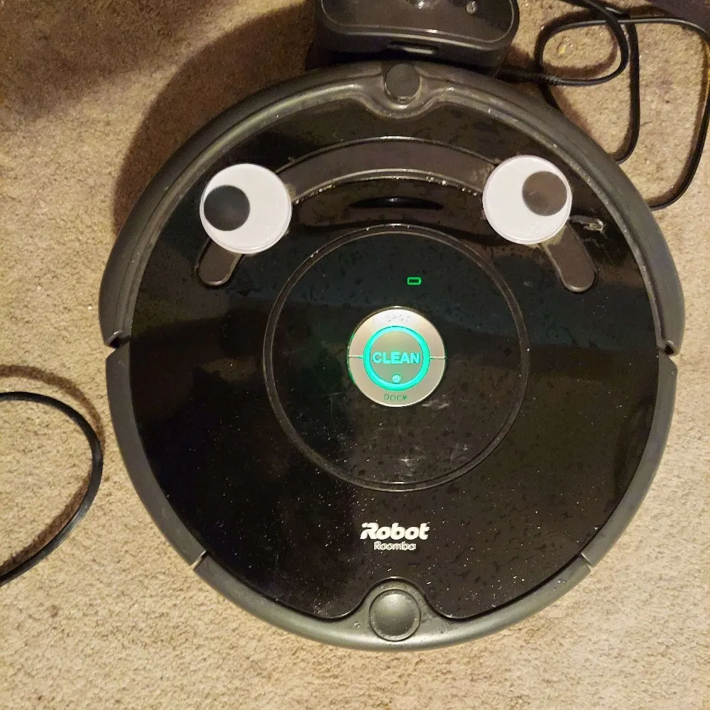 turkeycleverness.bsky.social's profile picture