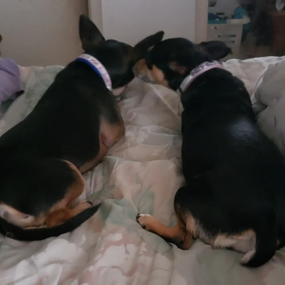 mom2bruce.bsky.social's profile picture