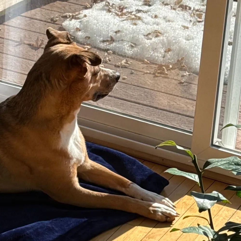 hrtburntart.bsky.social's profile picture