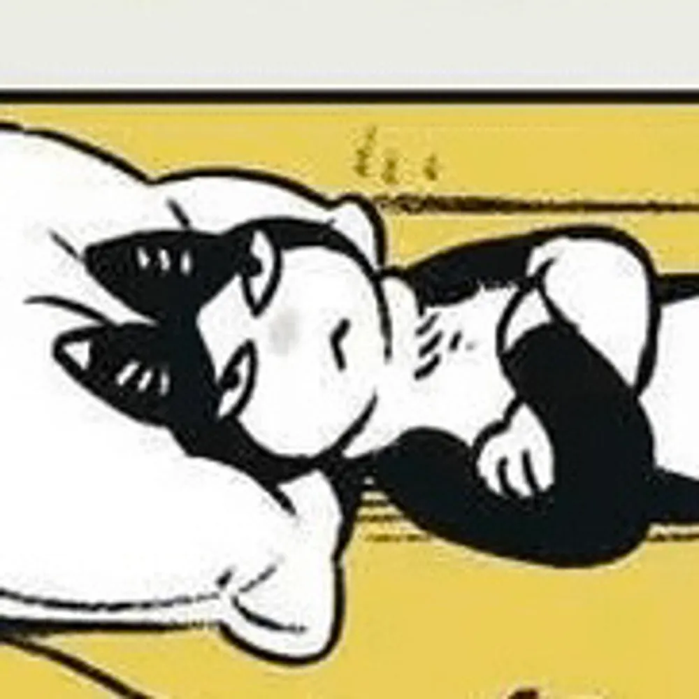 tivake.bsky.social's profile picture