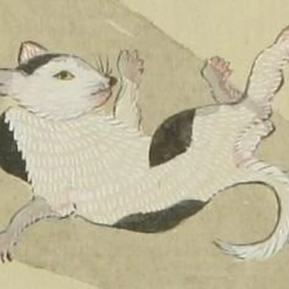 lisahancock.bsky.social's profile picture